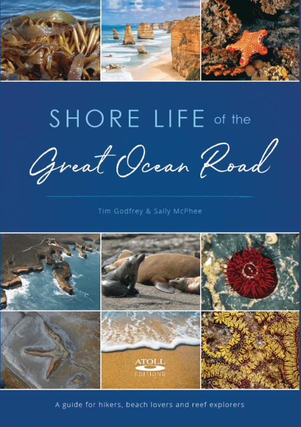 Shore Life Of The Great Ocean Road - Book Cover