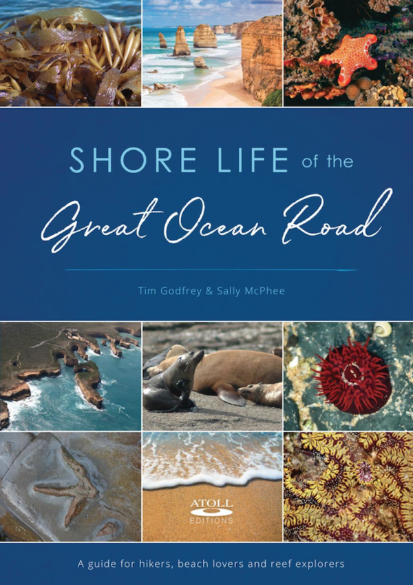 Shore Life Of The Great Ocean Road - eBook